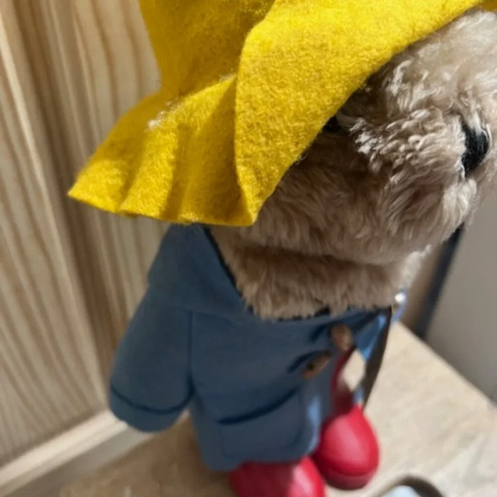 Vintage Paddington Bear plush toy Eden Toys‎ 70's 80's collectible memories
